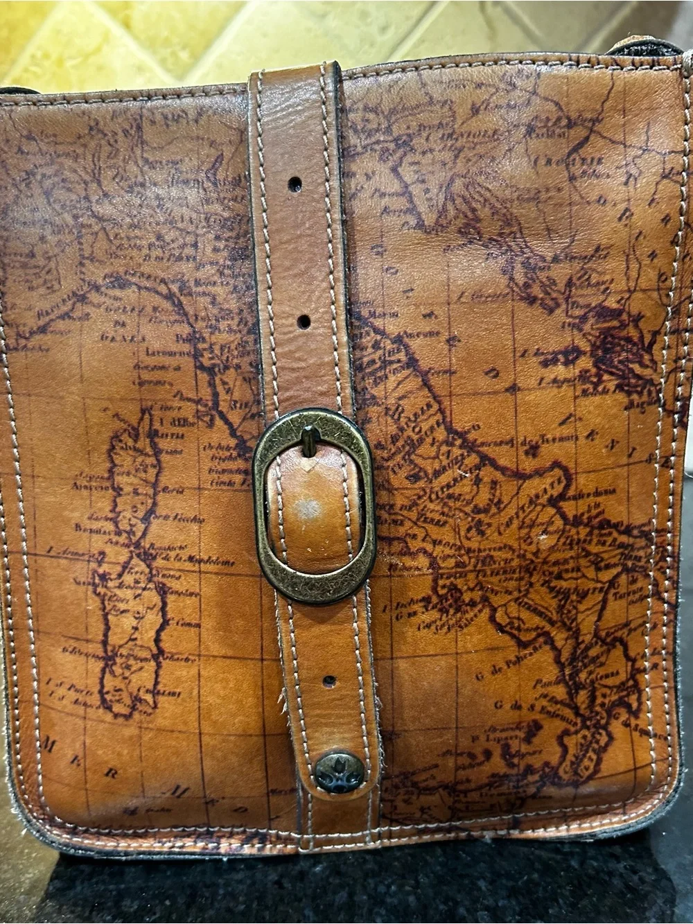 Patricia Nash Venezia Pouch Crossbody Signature Map Riot Rust